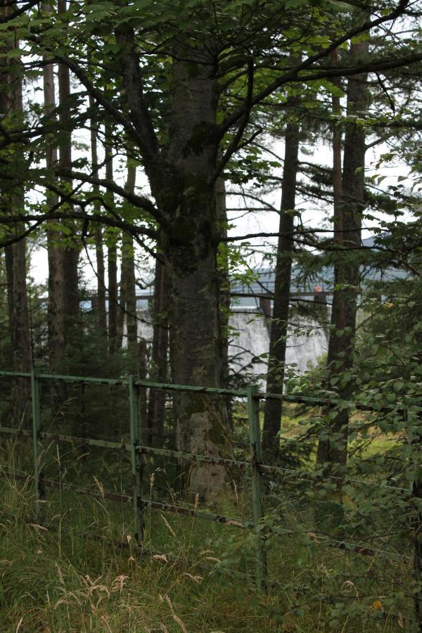 مبيت وإفطار ستيرلينج Loch Arklet House المظهر الخارجي الصورة